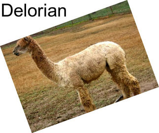 Delorian