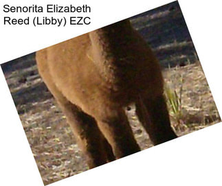 Senorita Elizabeth Reed (Libby) EZC