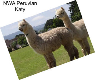 NWA Peruvian Katy