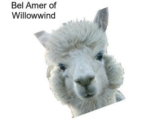 Bel Amer of Willowwind