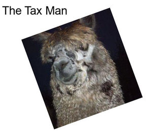 The Tax Man