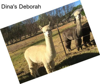 Dina\'s Deborah