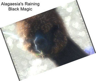 Alagaesia\'s Raining Black Magic
