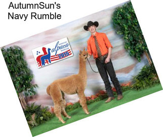 AutumnSun\'s Navy Rumble