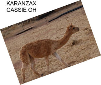 KARANZAX CASSIE OH