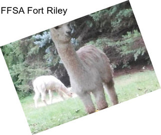 FFSA Fort Riley