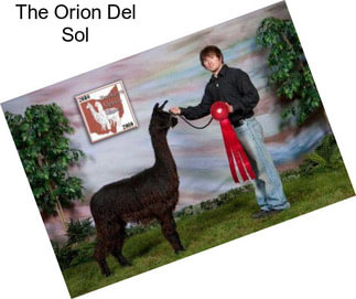 The Orion Del Sol