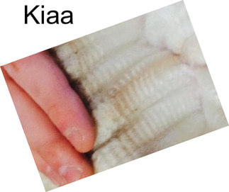 Kiaa