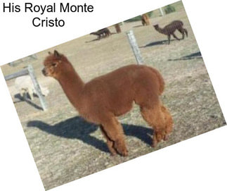 His Royal Monte Cristo