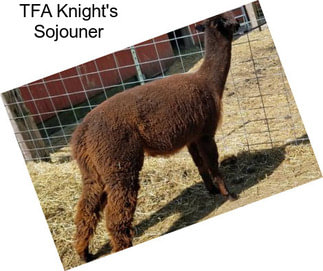 TFA Knight\'s Sojouner