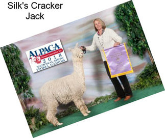 Silk\'s Cracker Jack