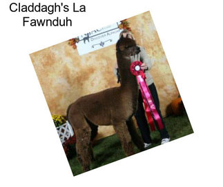 Claddagh\'s La Fawnduh