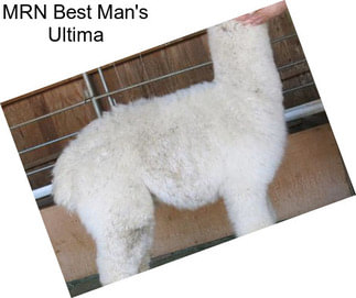 MRN Best Man\'s Ultima