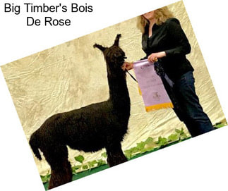 Big Timber\'s Bois De Rose