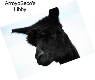 ArroyoSeco\'s Libby