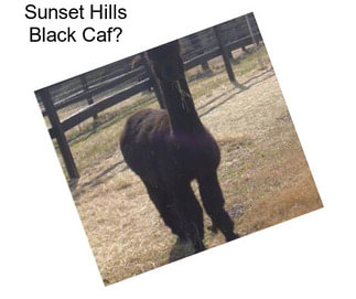 Sunset Hills Black Caf?