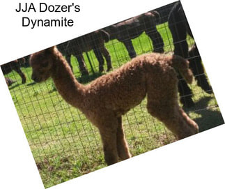 JJA Dozer\'s Dynamite