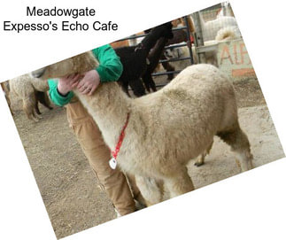 Meadowgate Expesso\'s Echo Cafe