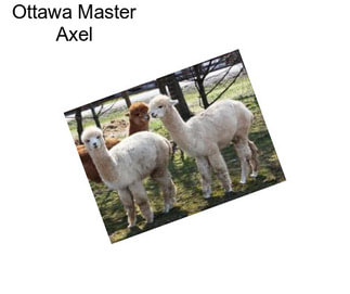 Ottawa Master Axel