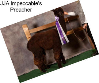 JJA Impeccable\'s Preacher