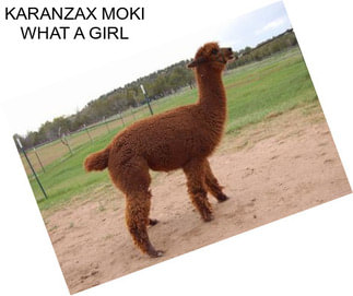 KARANZAX MOKI WHAT A GIRL