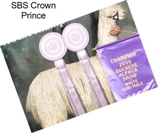 SBS Crown Prince