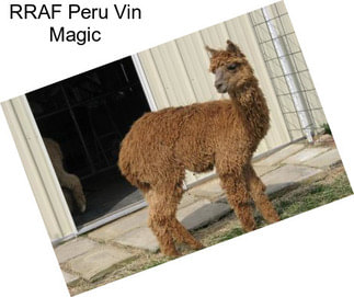 RRAF Peru Vin Magic