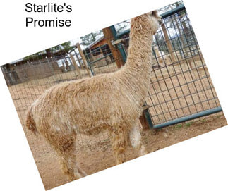 Starlite\'s Promise