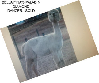 BELLA FINA\'S PALADIN DIAMOND DANCER...SOLD