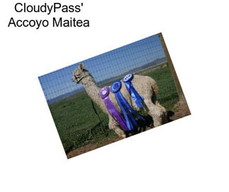 CloudyPass\' Accoyo Maitea