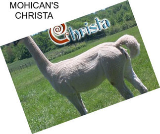 MOHICAN\'S CHRISTA
