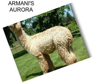 ARMANI\'S AURORA