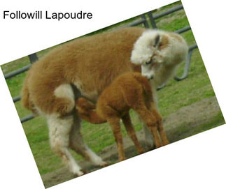 Followill Lapoudre