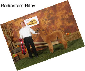 Radiance\'s Riley