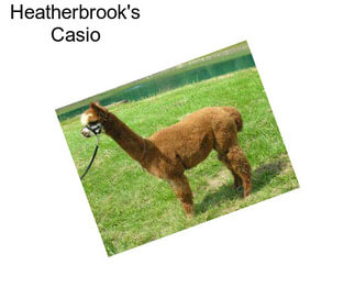 Heatherbrook\'s Casio