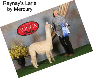 Raynay\'s Larie by Mercury