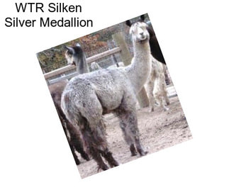 WTR Silken Silver Medallion