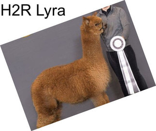 H2R Lyra