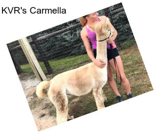 KVR\'s Carmella