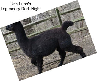 Una Luna\'s Legendary Dark Night