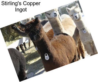 Stirling\'s Copper Ingot