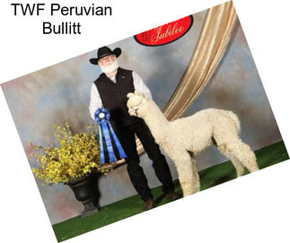 TWF Peruvian Bullitt