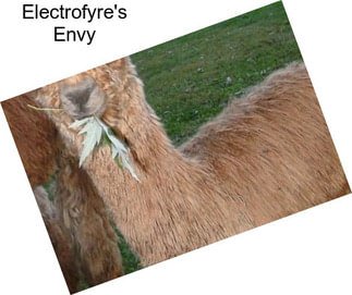 Electrofyre\'s Envy