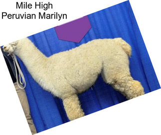 Mile High Peruvian Marilyn