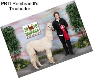 PRTI Rembrandt\'s Troubador