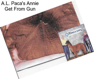 A.L. Paca\'s Annie Get From Gun