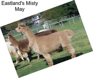 Eastland\'s Misty May