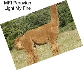 MFI Peruvian Light My Fire