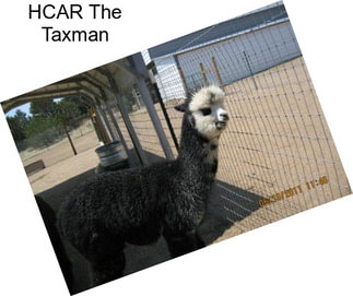 HCAR The Taxman
