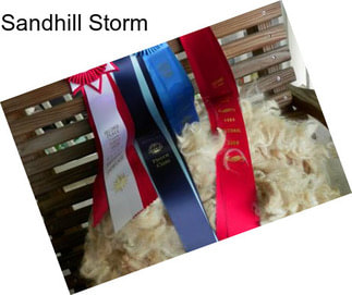 Sandhill Storm